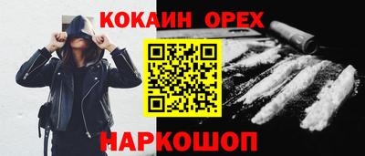 индика Гатчина