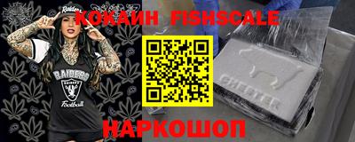 индика Гатчина