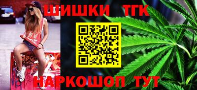 стаф Гай