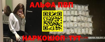 стаф Гай