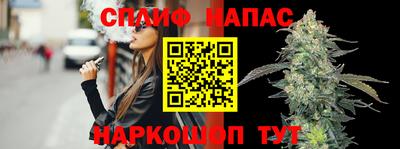 стаф Гай