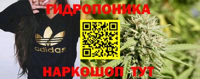 apvp Гусев