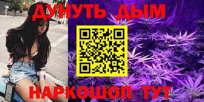 стаф Гай