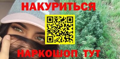 индика Гатчина