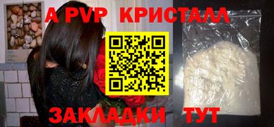 стаф Гай