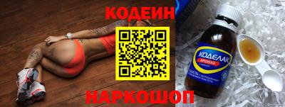 индика Гатчина