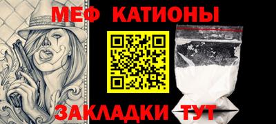 индика Гатчина