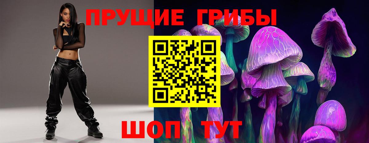 Псилоцибиновые грибы Cubensis  Вход с VPN  Домодедово 